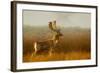 Fallow Deer Stag in Mist at Sunrise-null-Framed Photographic Print