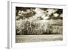 Fallow Field-Alan Hausenflock-Framed Photographic Print