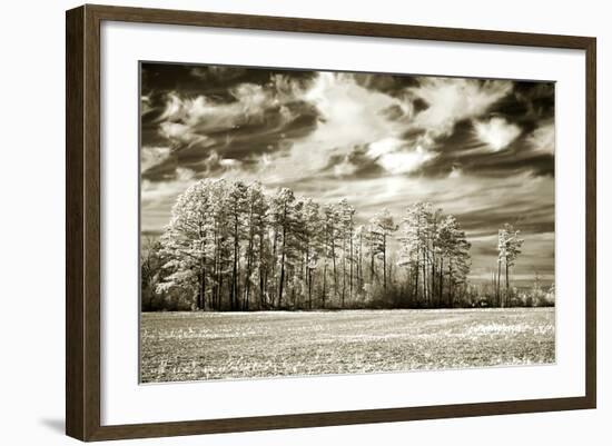 Fallow Field-Alan Hausenflock-Framed Photographic Print