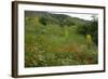 Fallow Ground with Denseflower Mullein, Musk Thistle and Common Poppy, Bulgaria-Nill-Framed Photographic Print