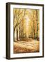 Falls Cathedral-Bruce Nawrocke-Framed Premium Giclee Print