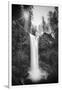 Falls Creek Falls in Black and White, Washington, Columbia River Gorge-Vincent James-Framed Photographic Print