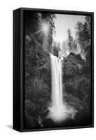 Falls Creek Falls in Black and White, Washington, Columbia River Gorge-Vincent James-Framed Stretched Canvas