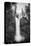 Falls Creek Falls in Black and White, Washington, Columbia River Gorge-Vincent James-Stretched Canvas