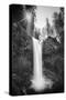 Falls Creek Falls in Black and White, Washington, Columbia River Gorge-Vincent James-Stretched Canvas