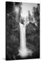 Falls Creek Falls in Black and White, Washington, Columbia River Gorge-Vincent James-Stretched Canvas