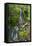 Falls Creek Falls, Mount Rainier National Park, Washington, USA-Michel Hersen-Framed Stretched Canvas