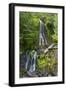 Falls Creek Falls, Mount Rainier National Park, Washington, USA-Michel Hersen-Framed Photographic Print