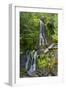 Falls Creek Falls, Mount Rainier National Park, Washington, USA-Michel Hersen-Framed Photographic Print