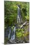 Falls Creek Falls, Mount Rainier National Park, Washington, USA-Michel Hersen-Mounted Photographic Print