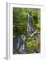 Falls Creek Falls, Mount Rainier National Park, Washington, USA-Michel Hersen-Framed Photographic Print