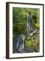 Falls Creek Falls, Mount Rainier National Park, Washington, USA-Michel Hersen-Framed Photographic Print