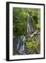 Falls Creek Falls, Mount Rainier National Park, Washington, USA-Michel Hersen-Framed Photographic Print