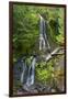 Falls Creek Falls, Mount Rainier National Park, Washington, USA-Michel Hersen-Framed Photographic Print