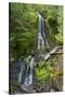 Falls Creek Falls, Mount Rainier National Park, Washington, USA-Michel Hersen-Stretched Canvas