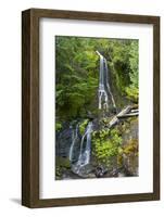 Falls Creek Falls, Mount Rainier National Park, Washington, USA-Michel Hersen-Framed Photographic Print