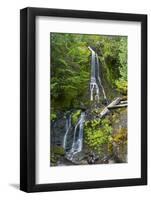 Falls Creek Falls, Mount Rainier National Park, Washington, USA-Michel Hersen-Framed Photographic Print