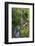 Falls Creek Falls, Mount Rainier National Park, Washington, USA-Michel Hersen-Framed Photographic Print