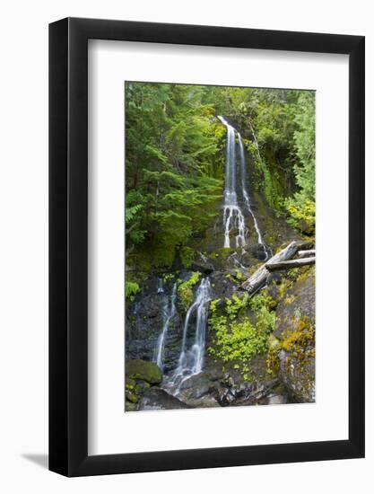 Falls Creek Falls, Mount Rainier National Park, Washington, USA-Michel Hersen-Framed Photographic Print