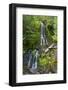 Falls Creek Falls, Mount Rainier National Park, Washington, USA-Michel Hersen-Framed Photographic Print