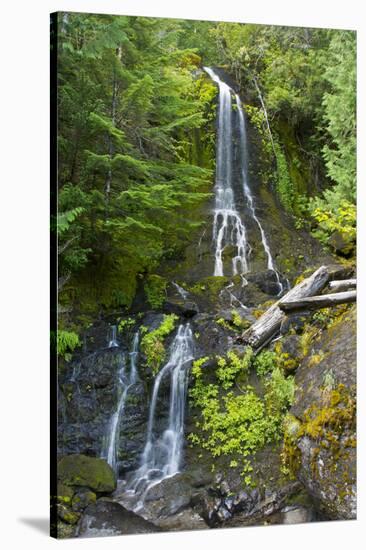 Falls Creek Falls, Mount Rainier National Park, Washington, USA-Michel Hersen-Stretched Canvas