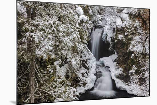 Falls Creek in Winter Near Nelson, British Columbia, Canada-Chuck Haney-Mounted Photographic Print