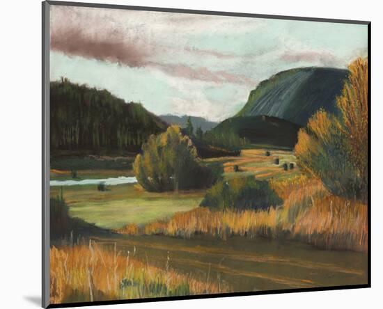 Falls Creek-Judith D'Agostino-Mounted Art Print