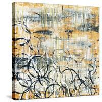 Falls Design II-Megan Aroon Duncanson-Stretched Canvas