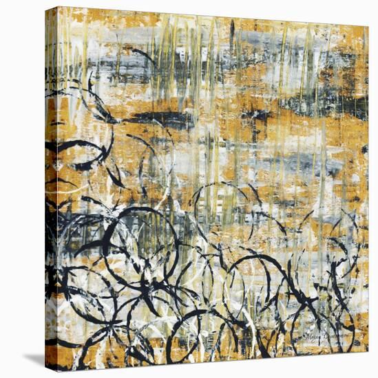 Falls Design III-Megan Aroon Duncanson-Stretched Canvas