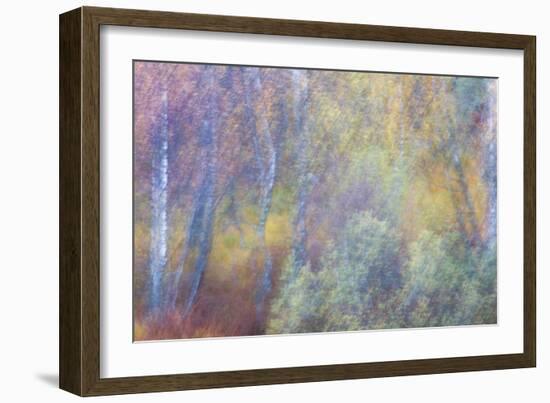 Falls Fire-Doug Chinnery-Framed Photographic Print