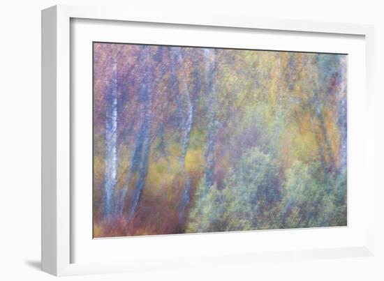 Falls Fire-Doug Chinnery-Framed Photographic Print