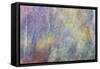 Falls Fire-Doug Chinnery-Framed Stretched Canvas