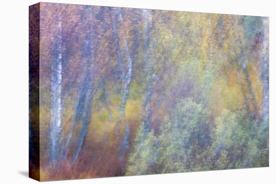 Falls Fire-Doug Chinnery-Stretched Canvas