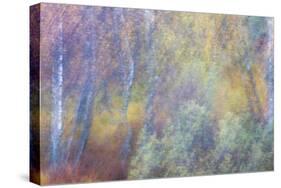 Falls Fire-Doug Chinnery-Stretched Canvas