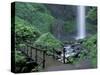 Falls from Foot Trail, Oregon Latourell Falls, Columbia River Gorge, Oregon, USA-Jamie & Judy Wild-Stretched Canvas