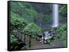 Falls from Foot Trail, Oregon Latourell Falls, Columbia River Gorge, Oregon, USA-Jamie & Judy Wild-Framed Stretched Canvas