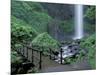 Falls from Foot Trail, Oregon Latourell Falls, Columbia River Gorge, Oregon, USA-Jamie & Judy Wild-Mounted Photographic Print