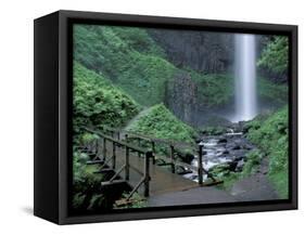 Falls from Foot Trail, Oregon Latourell Falls, Columbia River Gorge, Oregon, USA-Jamie & Judy Wild-Framed Stretched Canvas