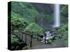 Falls from Foot Trail, Oregon Latourell Falls, Columbia River Gorge, Oregon, USA-Jamie & Judy Wild-Stretched Canvas
