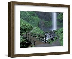 Falls from Foot Trail, Oregon Latourell Falls, Columbia River Gorge, Oregon, USA-Jamie & Judy Wild-Framed Photographic Print