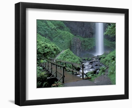 Falls from Foot Trail, Oregon Latourell Falls, Columbia River Gorge, Oregon, USA-Jamie & Judy Wild-Framed Photographic Print