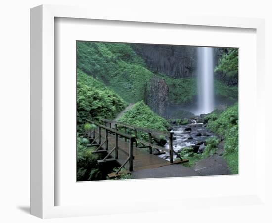 Falls from Foot Trail, Oregon Latourell Falls, Columbia River Gorge, Oregon, USA-Jamie & Judy Wild-Framed Photographic Print