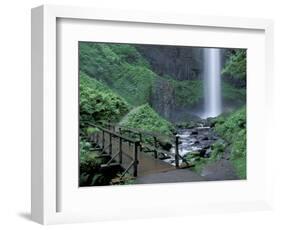 Falls from Foot Trail, Oregon Latourell Falls, Columbia River Gorge, Oregon, USA-Jamie & Judy Wild-Framed Photographic Print