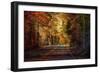 Falls Guiding Light-Jai Johnson-Framed Premium Giclee Print