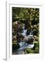 Falls in the Forest I-Brian Moore-Framed Premium Photographic Print