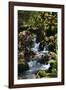 Falls in the Forest I-Brian Moore-Framed Premium Photographic Print