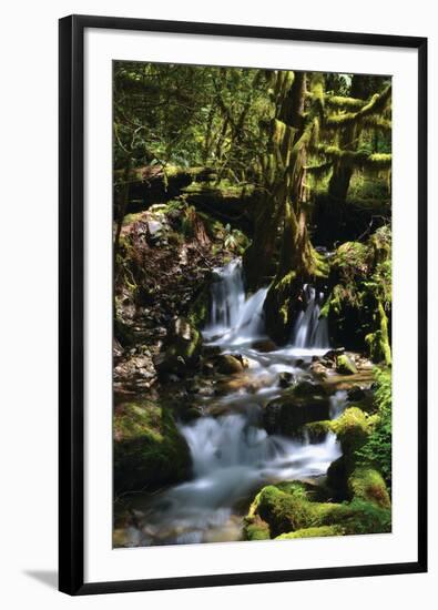 Falls in the Forest I-Brian Moore-Framed Premium Photographic Print