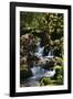 Falls in the Forest I-Brian Moore-Framed Premium Photographic Print