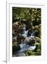 Falls in the Forest I-Brian Moore-Framed Photographic Print