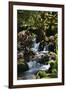Falls in the Forest I-Brian Moore-Framed Photographic Print